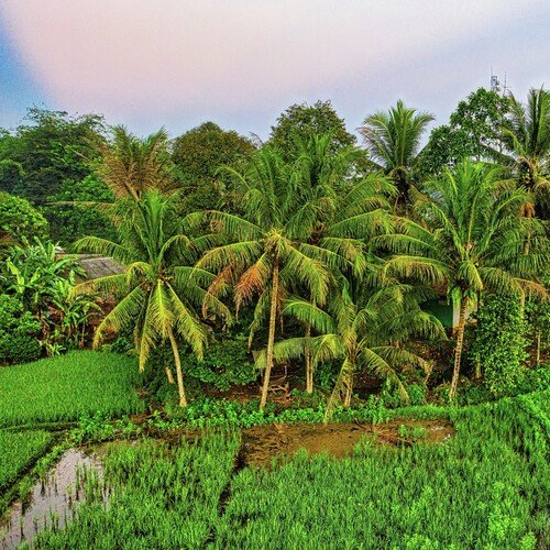 Kahayangmah