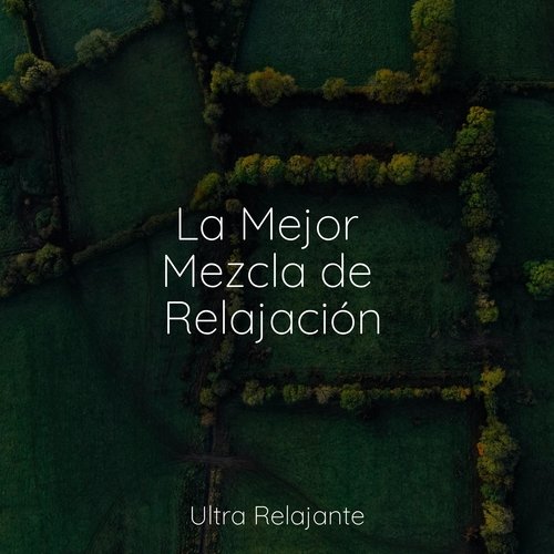 La Mejor Mezcla de Relajación