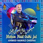 Mekun Naal Gidhi Jul