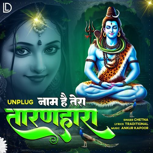 Naam Hai Tera Taran Hara - Unplugged