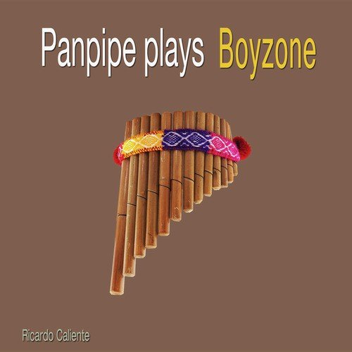 Panpipe Plays Boyzone