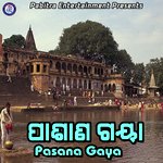 Pasana Gaya