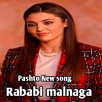 Rababi malanga