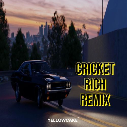 Rich (Cricket Remix)_poster_image