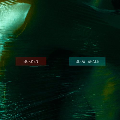 Slow Whale cover art