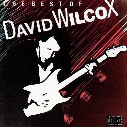 David Wilcox