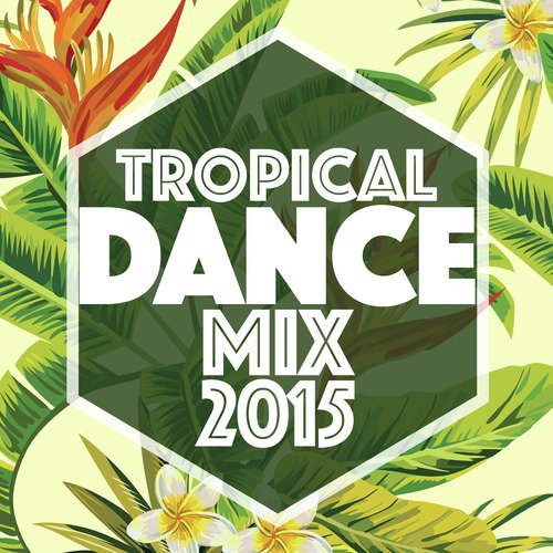 Tropical Dance Mix 2015
