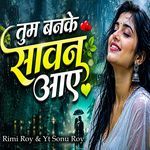 Tum Banke Sawan Aae artwork