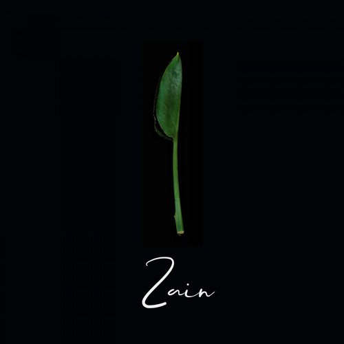 Zain cover art