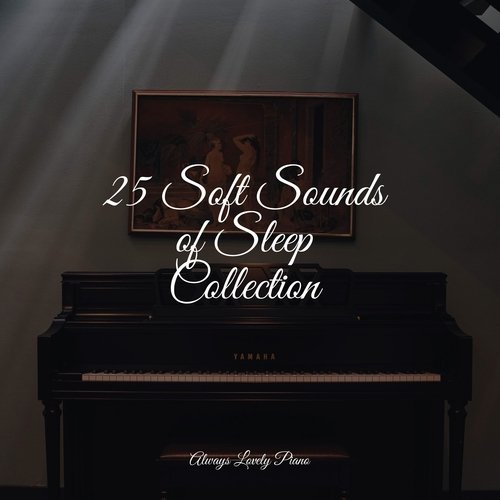 25 Soft Sounds of Sleep Collection