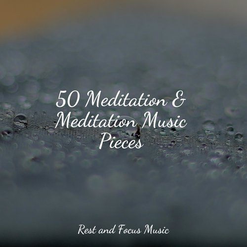 50 Meditation & Meditation Music Pieces