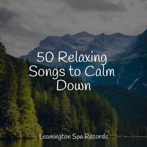 Sleep Music cover art