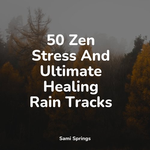 50 Zen Stress And Ultimate Healing Rain Tracks