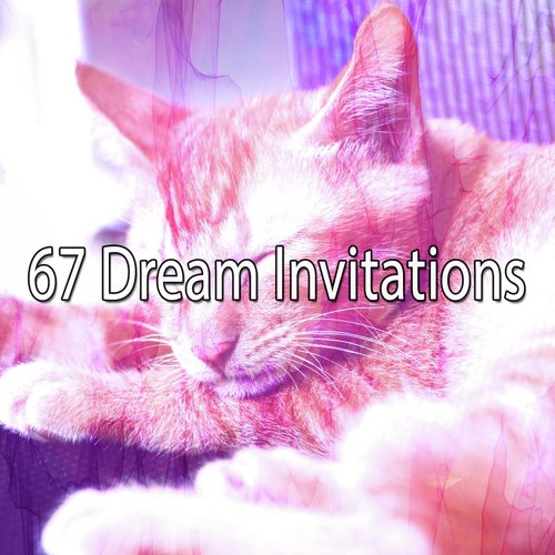 67 Dream Invitations