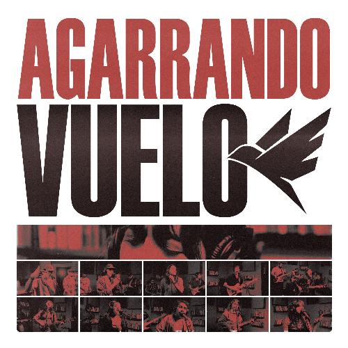 Miradas (Live En Agarrando Vuelo) cover art