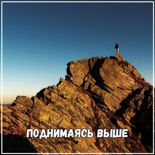 Музыка тишины cover art