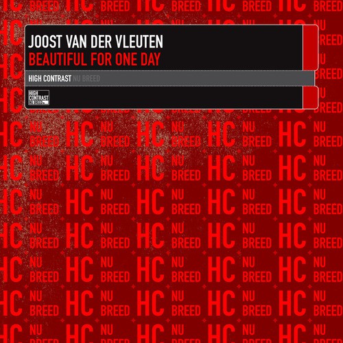 Joost van der Vleuten