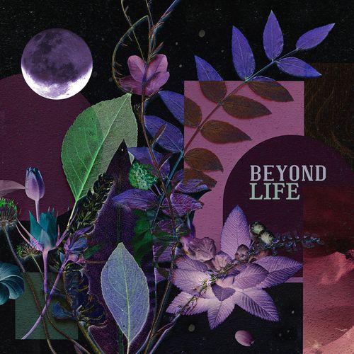 Beyond Life