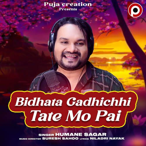 Bidhata Gadhichhi Tate Mo Pai