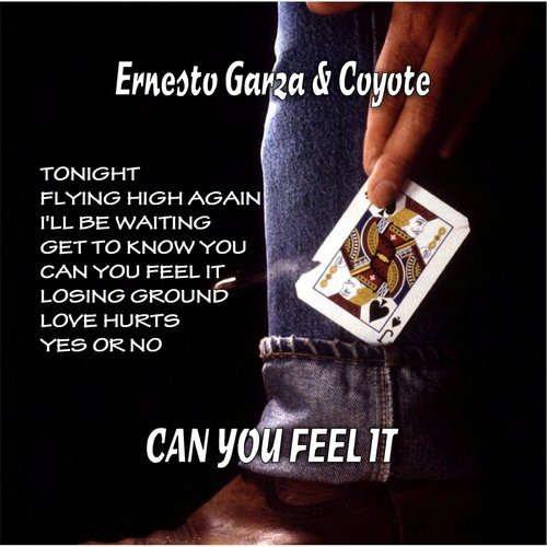 Can You Feel It (feat. Carl Catalano)