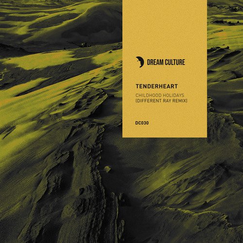 Maya (Different Ray Remix) cover art