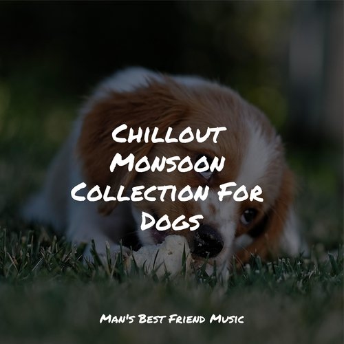 Meditating Music cover art