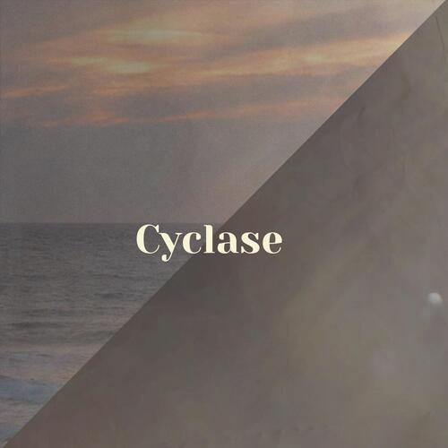 Cyclase cover art