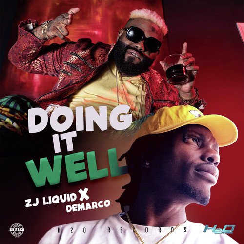 Doing it Well_poster_image