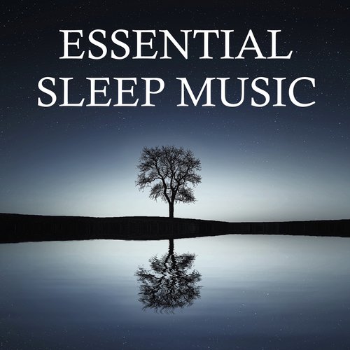 Nature Sounds for Sleep and Relaxation, Deep Sleep Relaxation, Sleep Sound Library