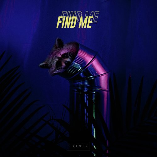 Find Me_poster_image