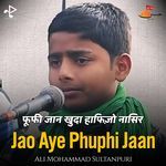 Jao Aye Phuphi Jaan (Live)
