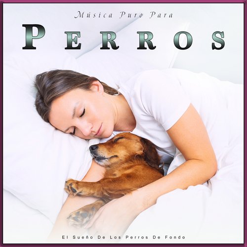 Ansiedad De Los Perros cover art
