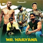 Mr. Haryana