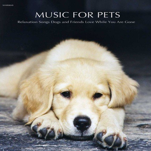 Music for Pets - Relaxation Songs Dogs and Friends Love While You Are Gone_poster_image