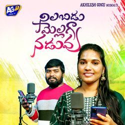 Nilabadu Mellaga Naduvu