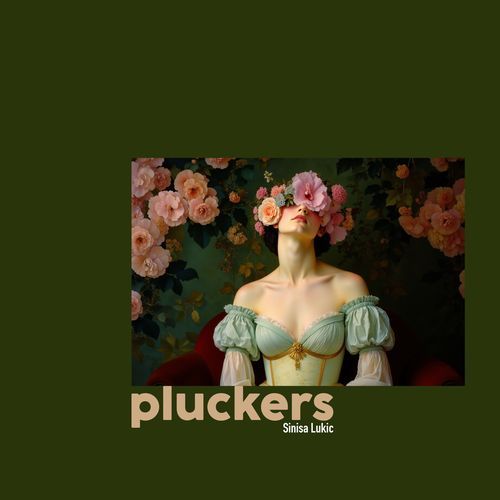 Pluckers cover art