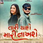 Tari Yado Mari Nakhshe