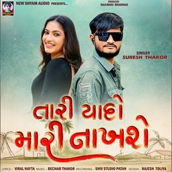 Tari Yado Mari Nakhshe