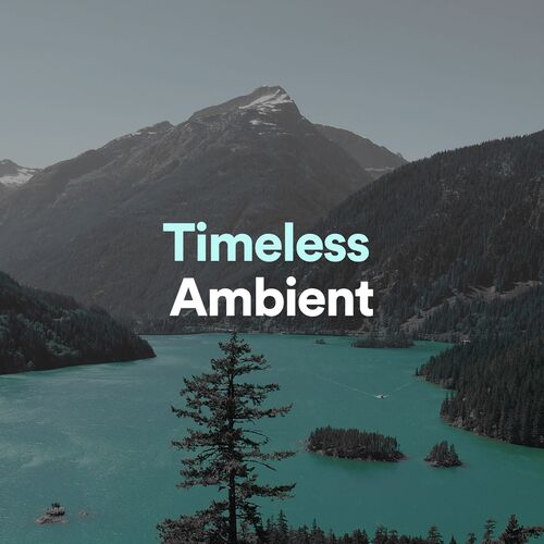 Timeless Ambient_poster_image