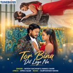 Tor Bina Dil Lage Na