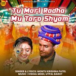 Tu Mari Radha Mu Taro Shyam