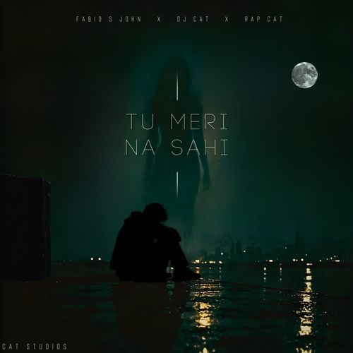 Tu Meri Na Sahi