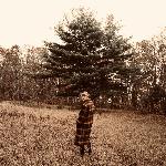 willow (the witch collection)