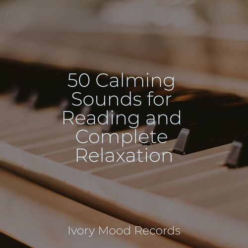 50 Calming Sounds for Reading and Complete Relaxation