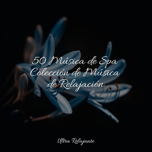 50 Música de Spa Colección de Música de Relajación_poster_image