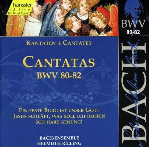 Jesus schläft, was soll ich hoffen, BWV 81: Aria: Die schaumenden Wellen von Belials Bachen (Tenor)