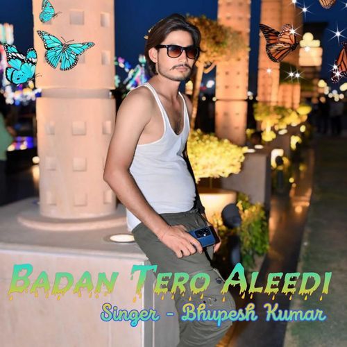 Badan Tero Aleedi_poster_image