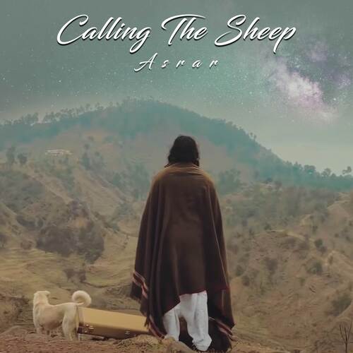 Calling The Sheep