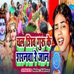 Chal Shiv Guru Ke Saranava Re Jaan