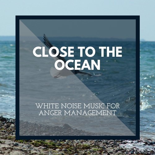 Birds at Oceanic Heaven cover art